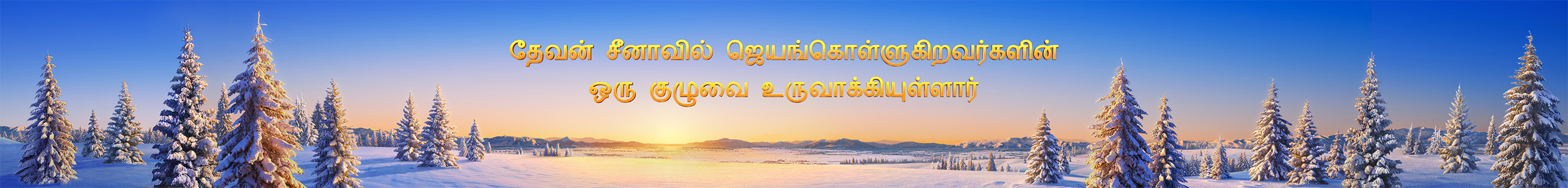 Banner-experience-3-pc